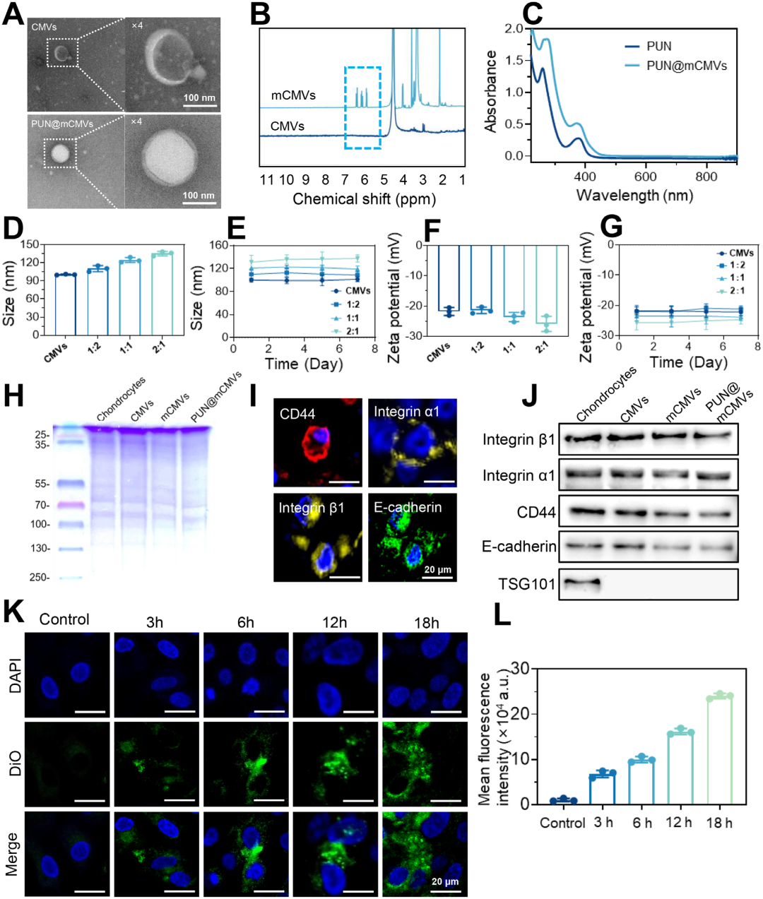 3D Bioprinting! Cellular Capsule Delivery Strategy for Cartilage Defect Repair
