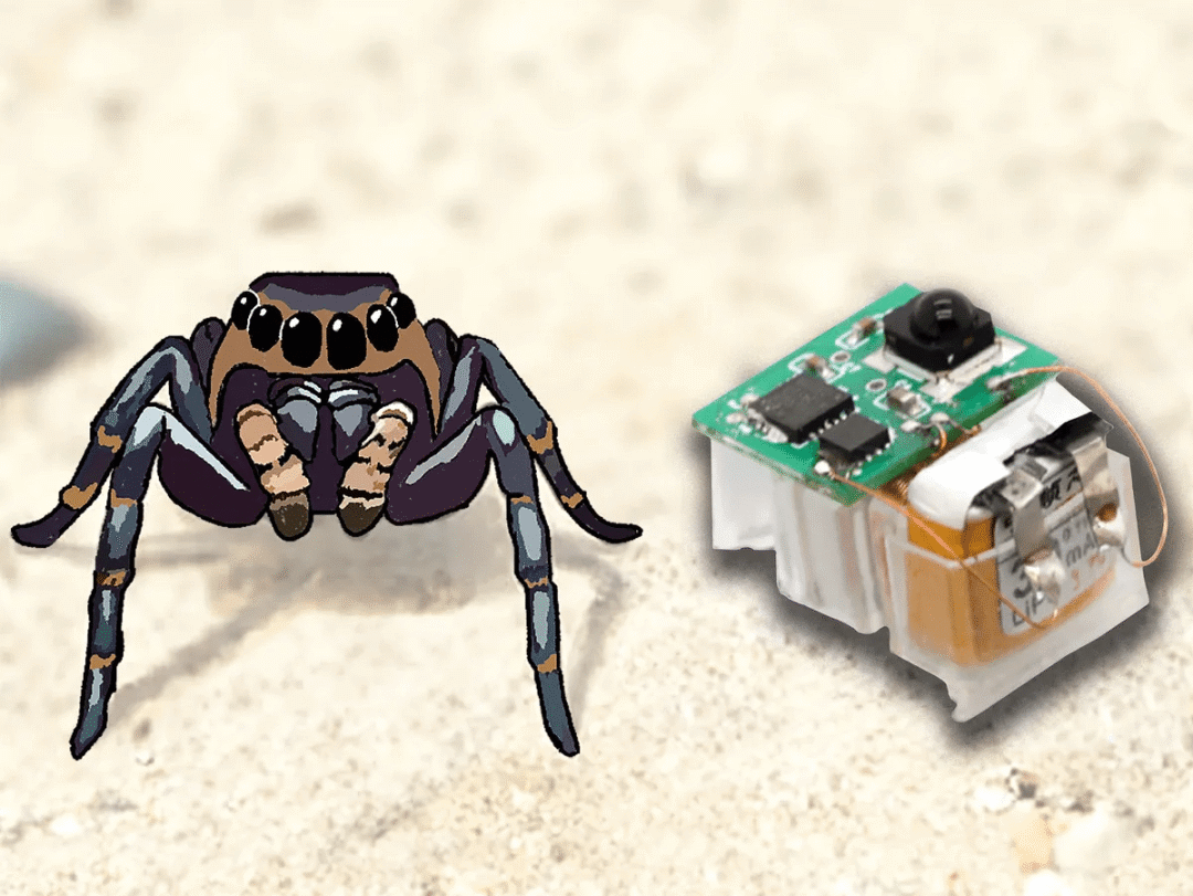 Transforming Photos into Stunning Line Art, Dissolvable 3D Printed Circuit Boards, n8n Smart Terminal | DF Maker Weekly (Issue 143)