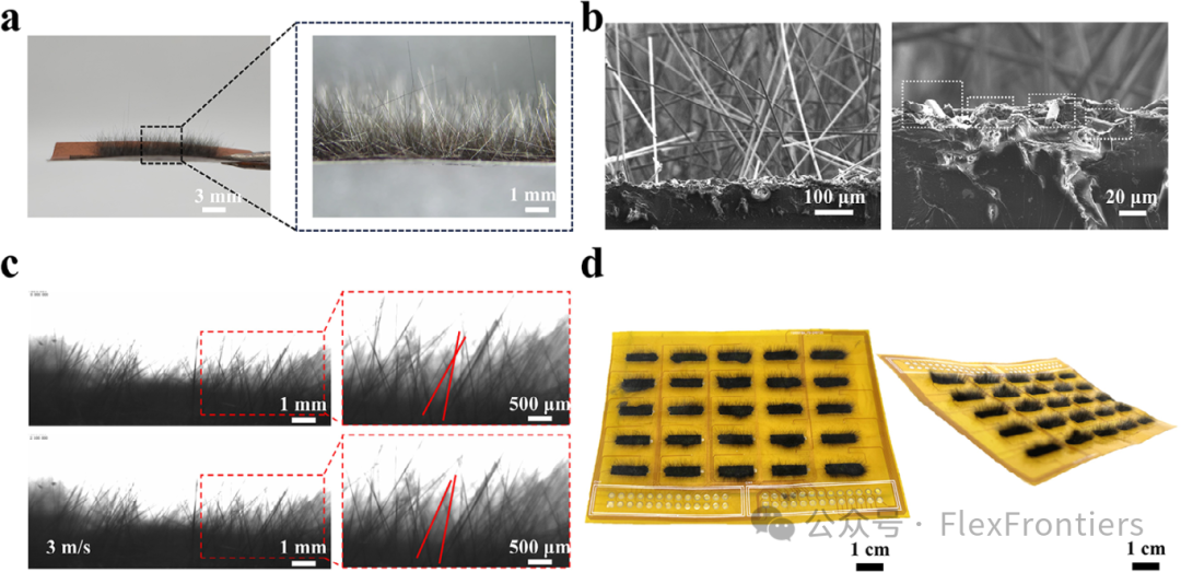 Bionic 'Electronic Hair': High-Sensitivity Flexible Airflow Sensor for Large-Area Sensing