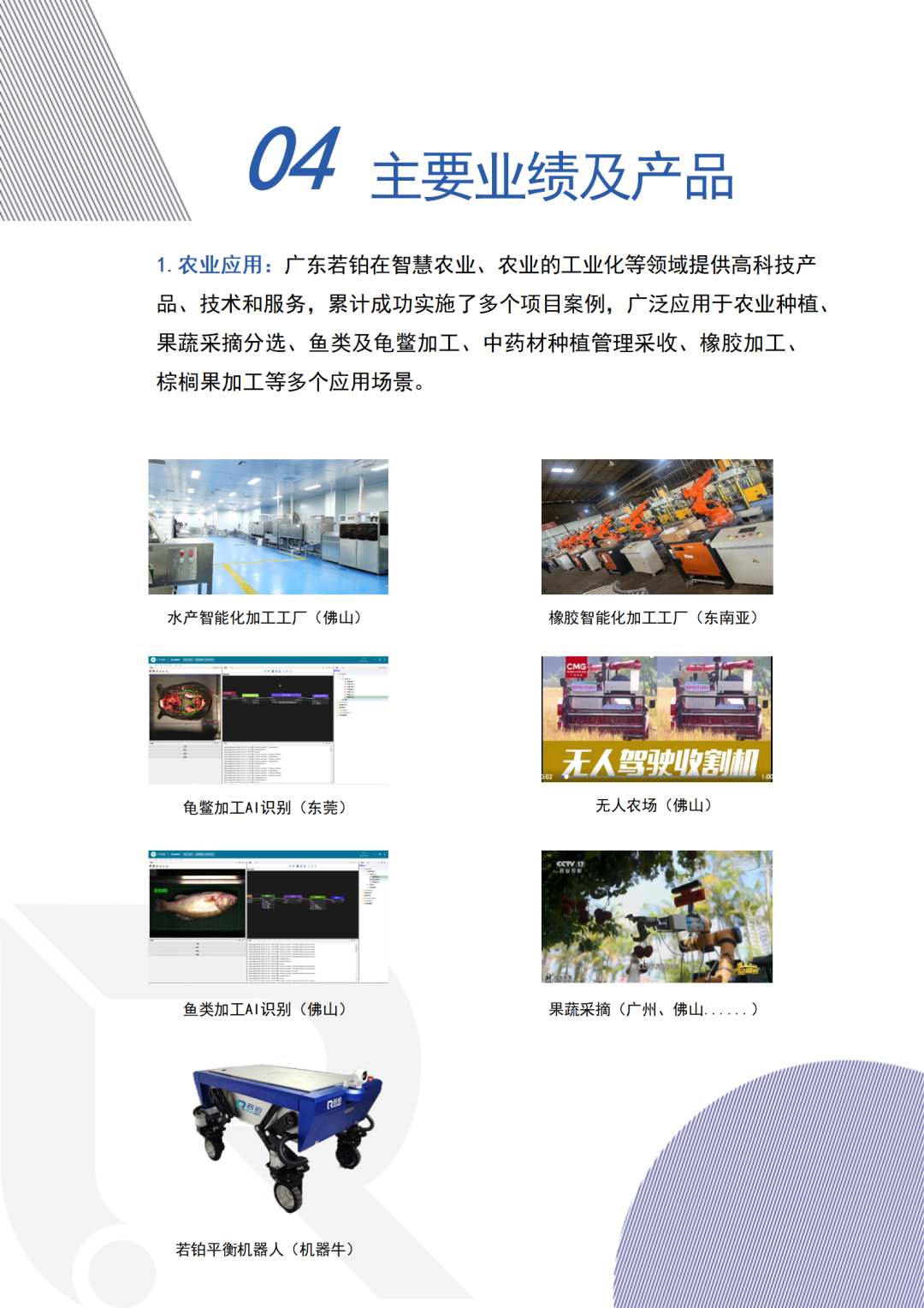 Ruobo Intelligent Robotics: Creating New Brands in Traditional Industries with AI