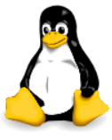 High-Risk Vulnerability Alert: Linux Kernel DRM Vulnerability CVE-2025-39882