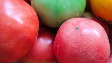 Weekly Tomato: High in Potassium and Vitamin C, You Won't Know How Good It Is Until You Try...