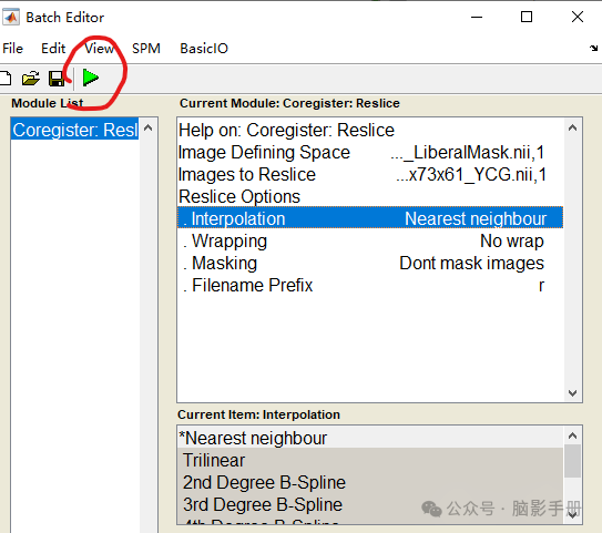 Image Resampling Guide: SPM12 Interface and MATLAB Batch Processing