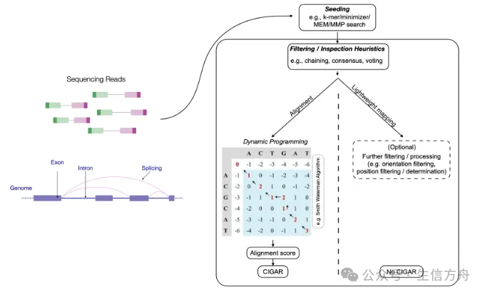 Best Practices for Python Single-Cell Learning Process