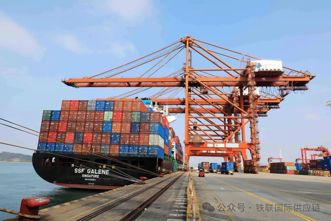 Essential Guide for Import and Export Logistics: Choosing Between COC and SOC Containers