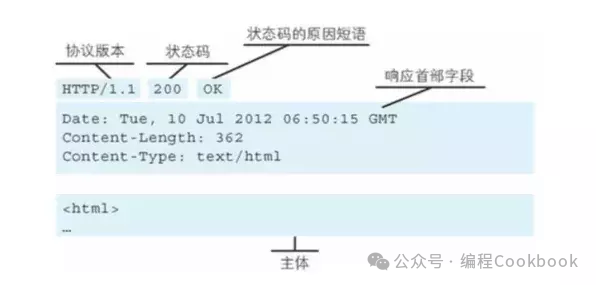 Daily Insight | HTTP Request Methods in Computer Networks