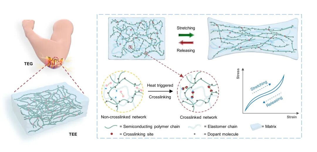 Scientists Overcome Challenges in Flexible Electronic Energy Harvesting