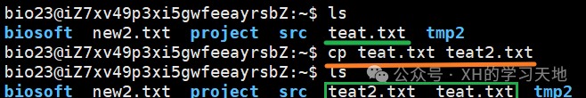Linux 101: Basic Syntax for Beginners