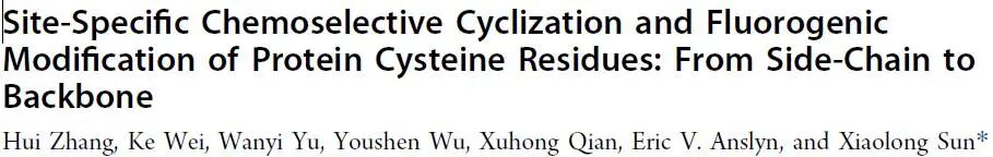 Site-Specific Chemoselective Cyclization and Fluorogenic Modification of Protein Cysteine Residues: From Side-Chain to Backbone
