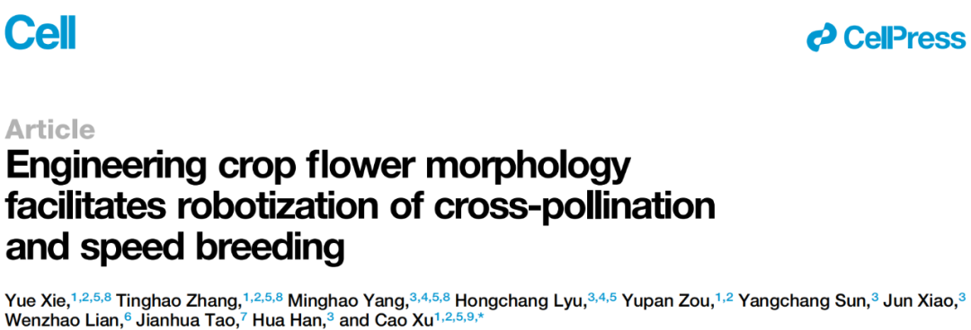 Innovative AI Robot for Cross-Pollination: Breaking Through Hybrid Breeding and Seed Production Bottlenecks
