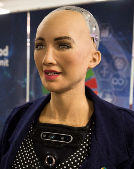 Will Humanoid Robots Evolve to the Battlefield?