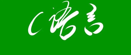 What is the Identifier After the Struct in C Language?