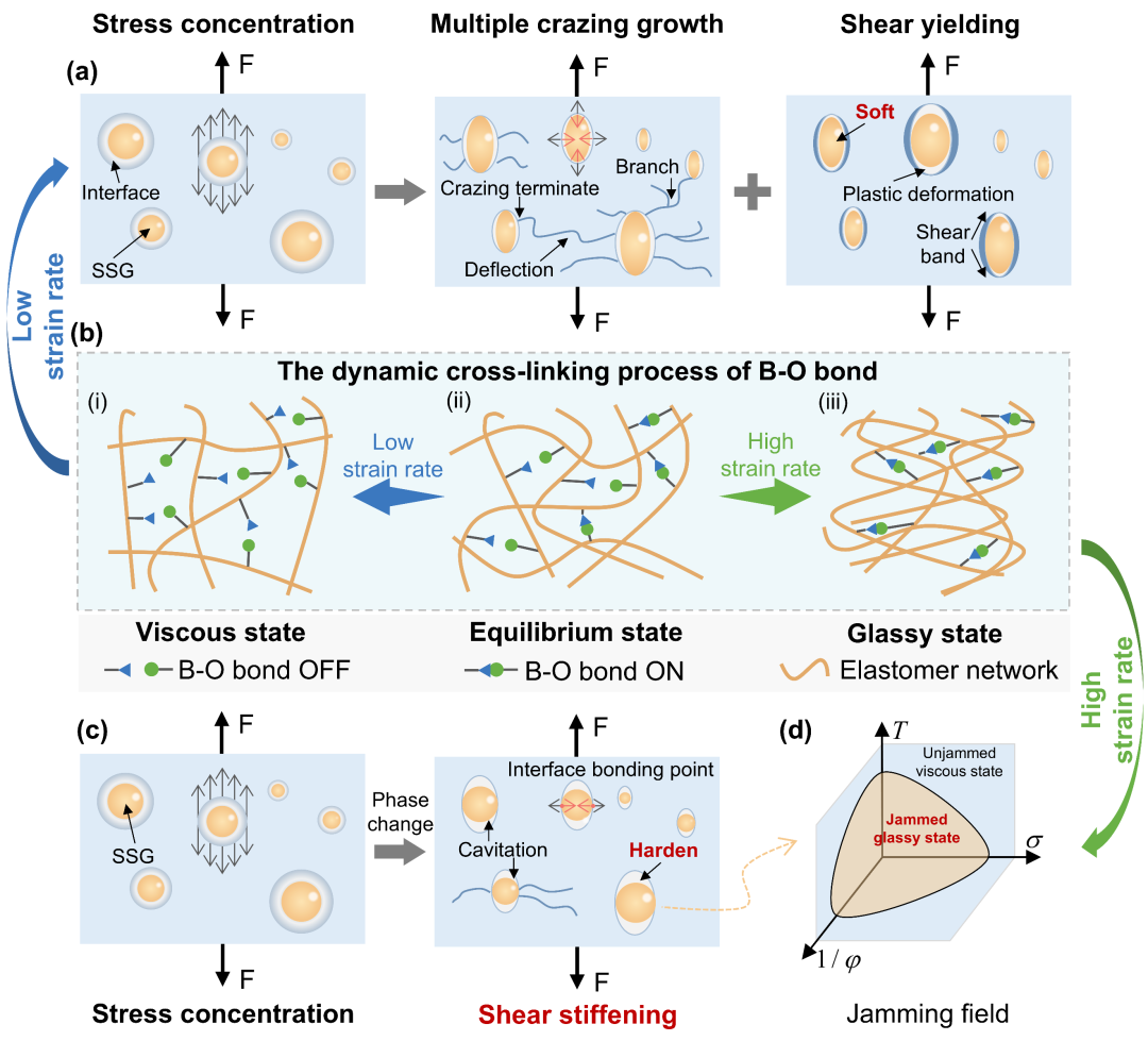 A Universal Toughening and Energy-Dissipating Strategy for Impact-Resistant 3D-Printed Composites