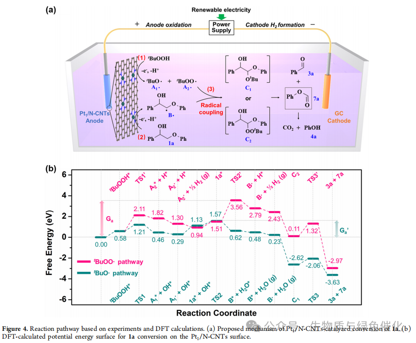 Interpretation of J. Am. Chem. Soc. | Atomically Dispersed Pt-N₃C₁ Sites Enabling Efficient and Selective Electrocatalytic C-C Bond Cleavage in Lignin Models