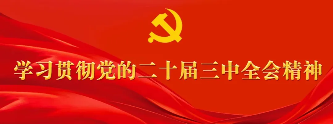 Strengthening the Awareness of the Chinese National Community: The 'Embedded' Vegetable Garden Yields 'Community' Fruits