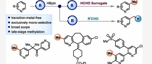 Overcoming the Challenge of Meta-Methylation of Pyridine: A Cost-Effective Aldehyde-Catalyzed Strategy Brings New Breakthroughs