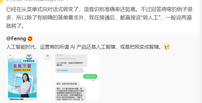 Smart or Foolish? Discussing AI Chatbots in Telecommunications