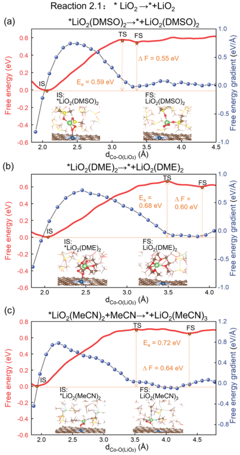 Ab Initio Molecular Dynamics Simulation of Co-N-C Single-Atom Catalysts at the Electrolyte Interface for Oxygen Reduction Reaction