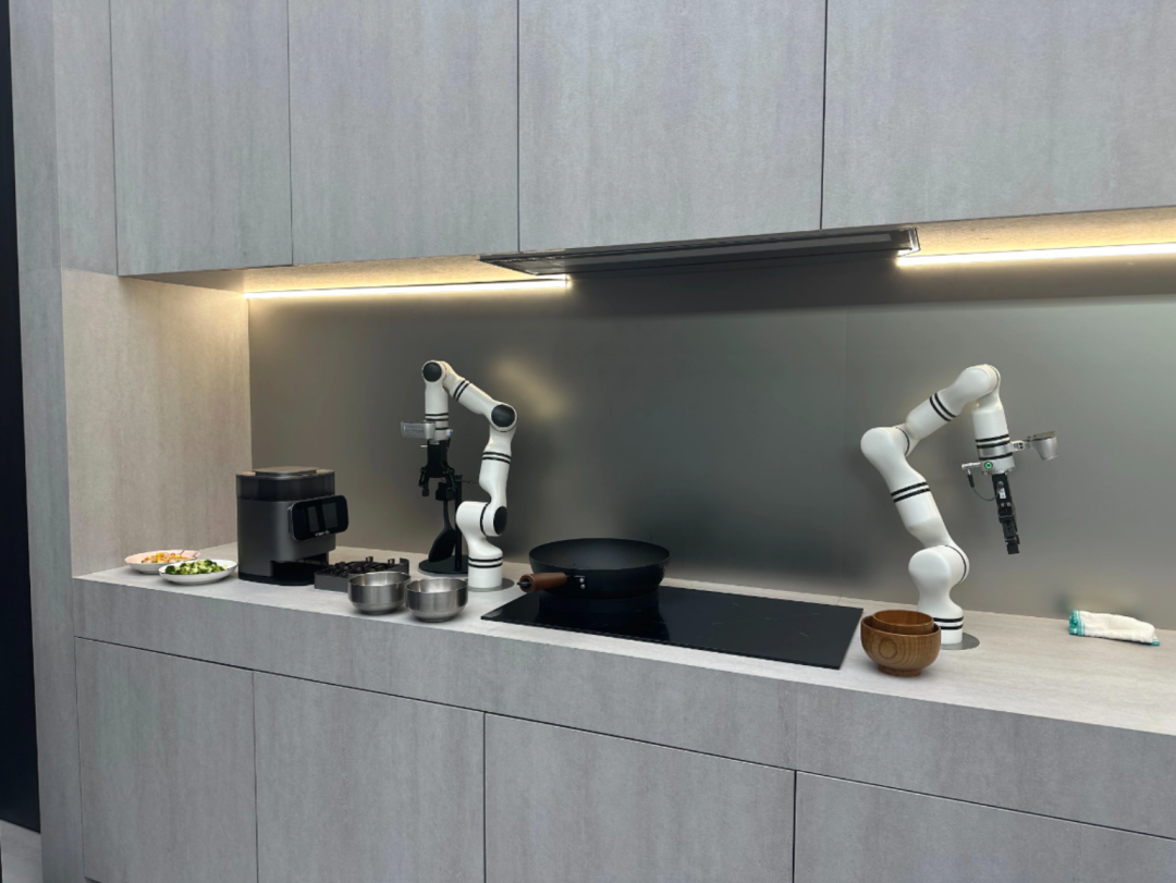 Understanding Embodied Intelligence, Intelligent Robots, and Humanoid Robots