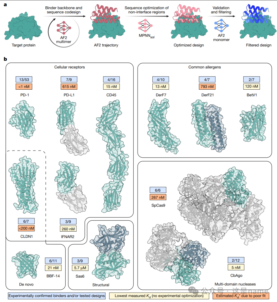 BindCraft: A One-Shot Protein Design Tool for Functional Protein Binders (Nature 2025)