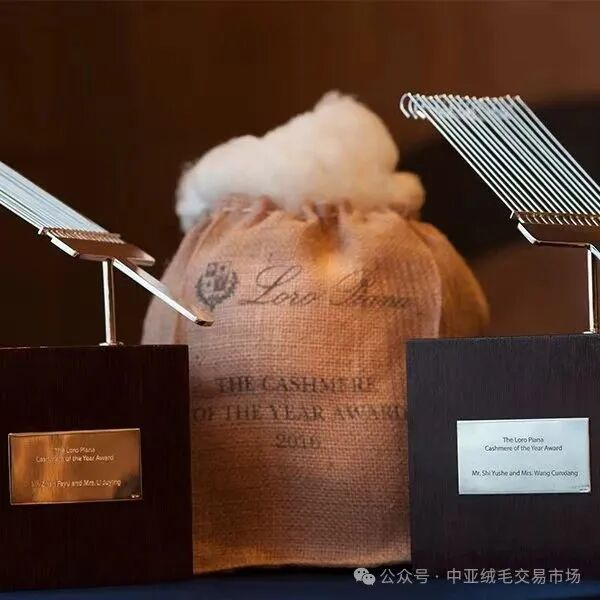 Reflections on Chinese Cashmere: How Far Are We from the 'Loro Piana Myth'?