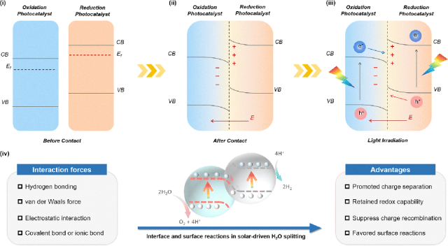Academician Wu Lizhu's Significant Review in Chem. Soc. Rev: Inorganic-Organic Hybrid Photocatalysts