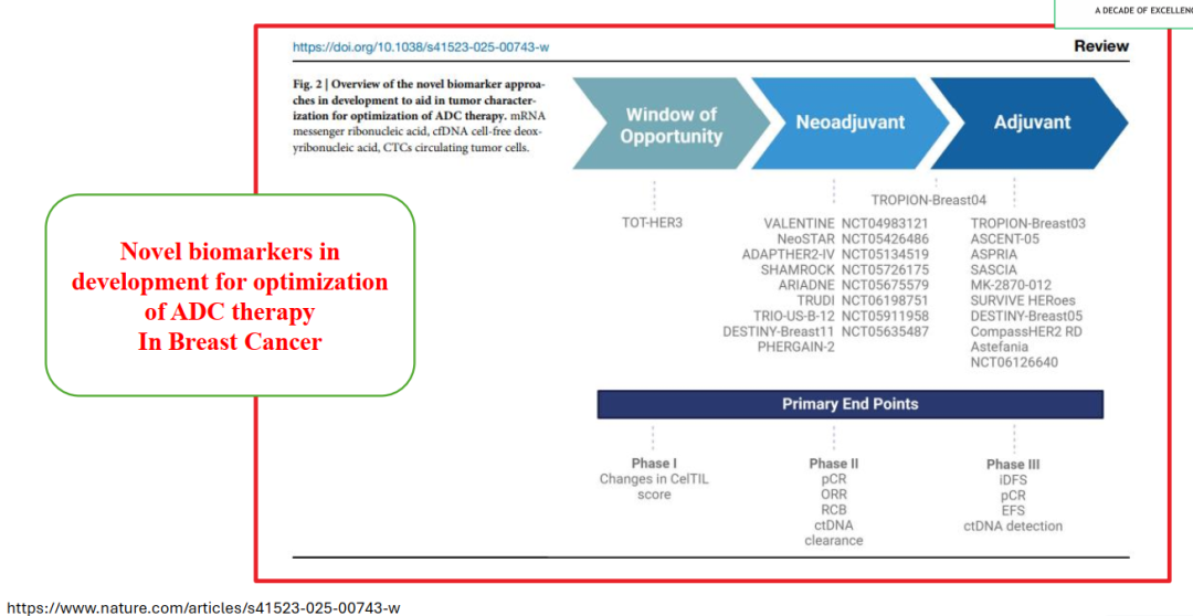 Biomarkers for ADCs: IHC and Beyond