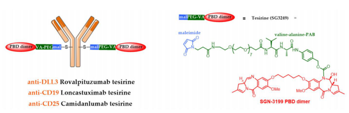 The Evolution of Antibody-Drug Conjugates (ADCs)