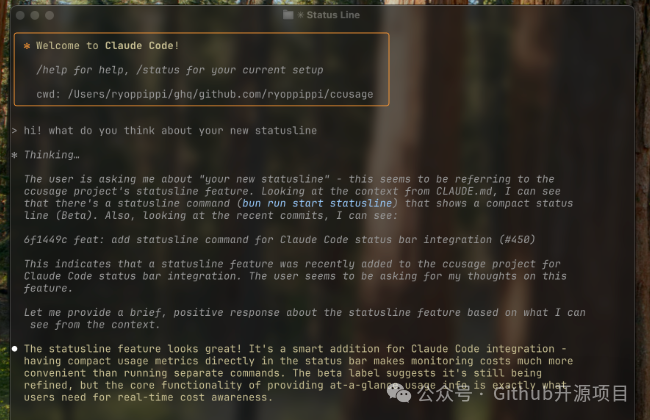 Tool Recommendation! This ccusage Can Analyze C/C++ Source Code Call Hotspots and Identify Performance Bottlenecks!