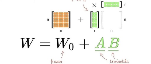 Full Fine-tuning vs LoRa Fine-tuning: Which Approach is More Suitable for You in the Era of Large Models?