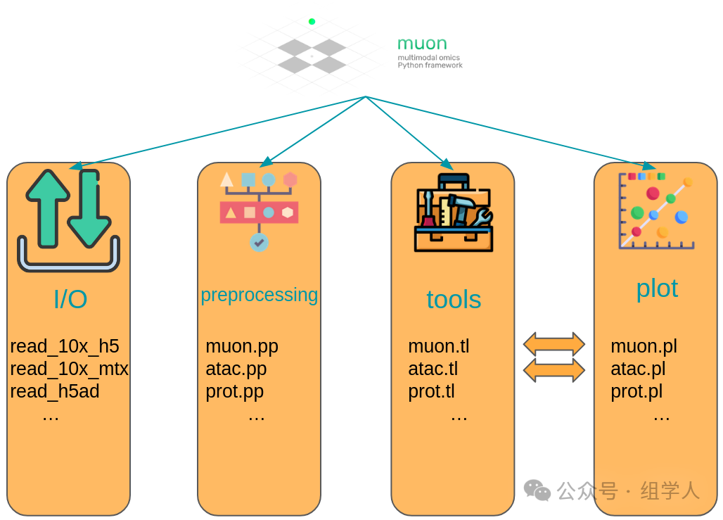 Best Practices for Single-Cell Analysis: 3. The Core Analysis Ecosystem of Python - scverse