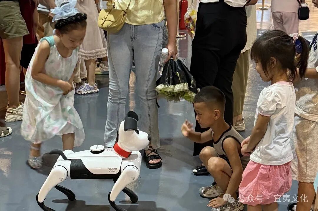 The Successful Conclusion of the Second AI Robot Science Exhibition in Datong!