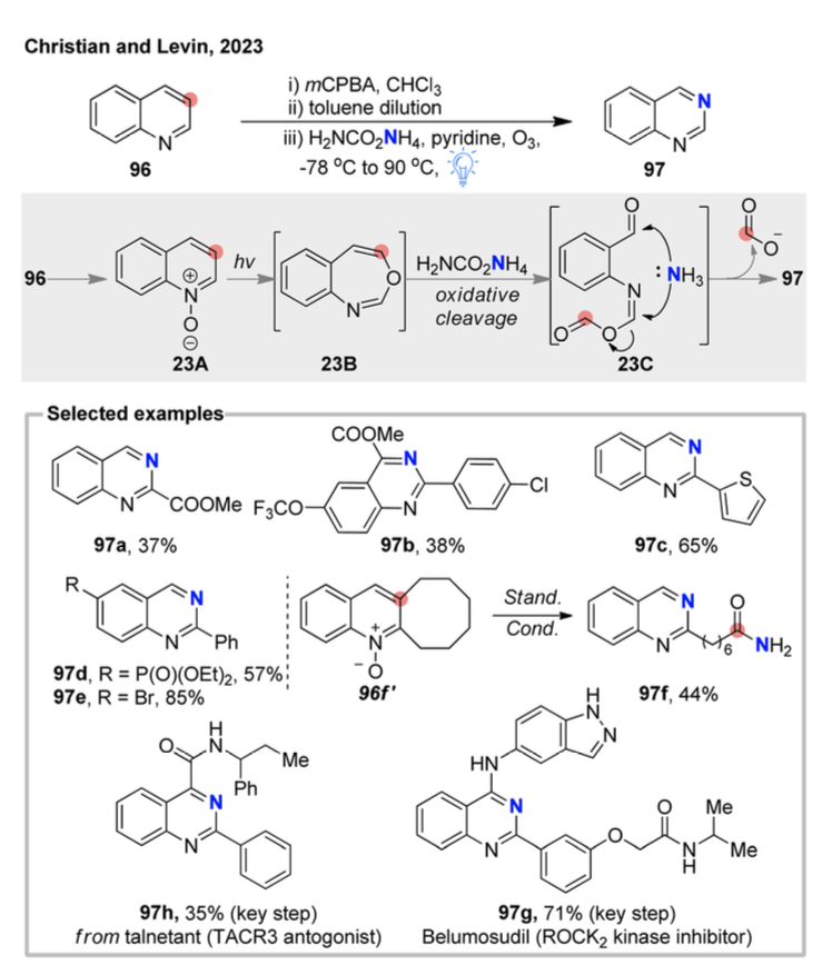 Review by Professor Hongjian Lu's Team at Nanjing University | Recent Advances in Skeleton Editing Based on Nitrogen Atom Manipulation