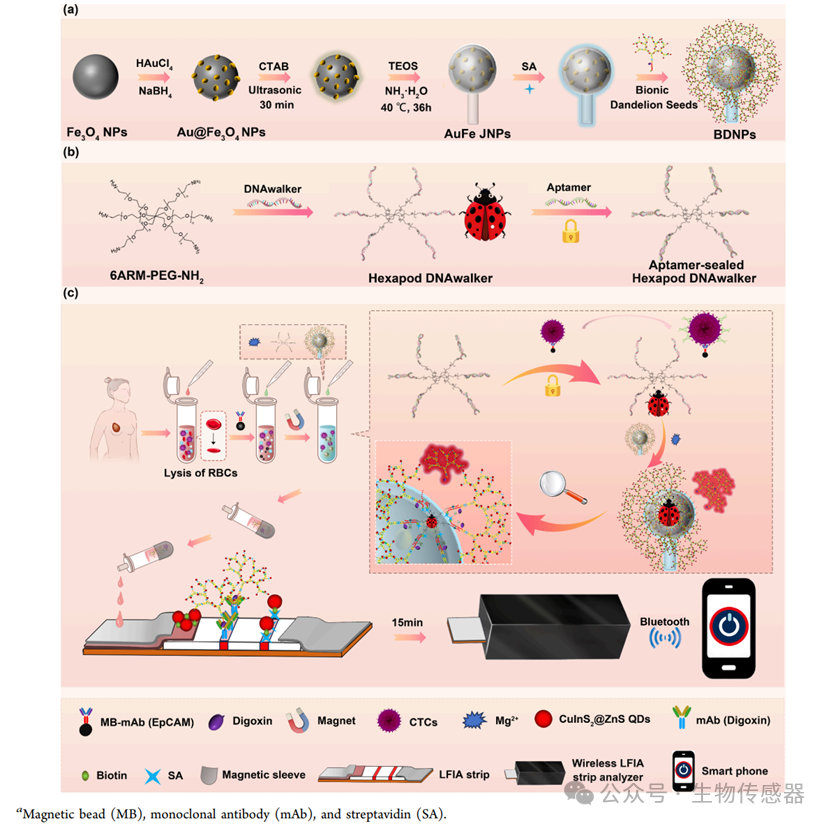 Wireless Cell Sensor Based on Bionic Dandelion Isothermal Amplification System for Ultra-Sensitive Detection of Circulating Tumor Cells