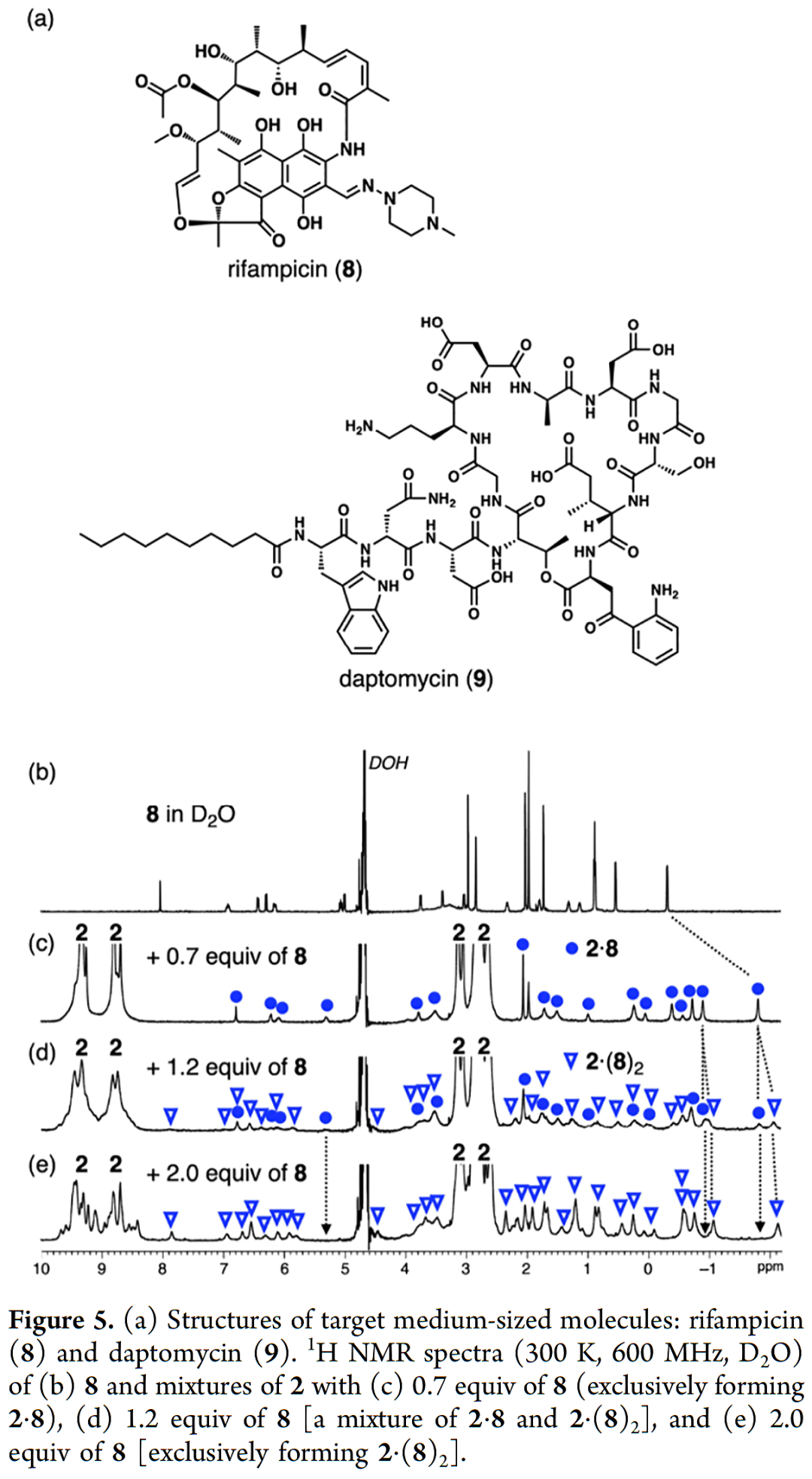 Template and Solid-State-Assisted Assembly of an M9L6 Expanded Coordination Cage for Medium-Sized Molecule Encapsulation