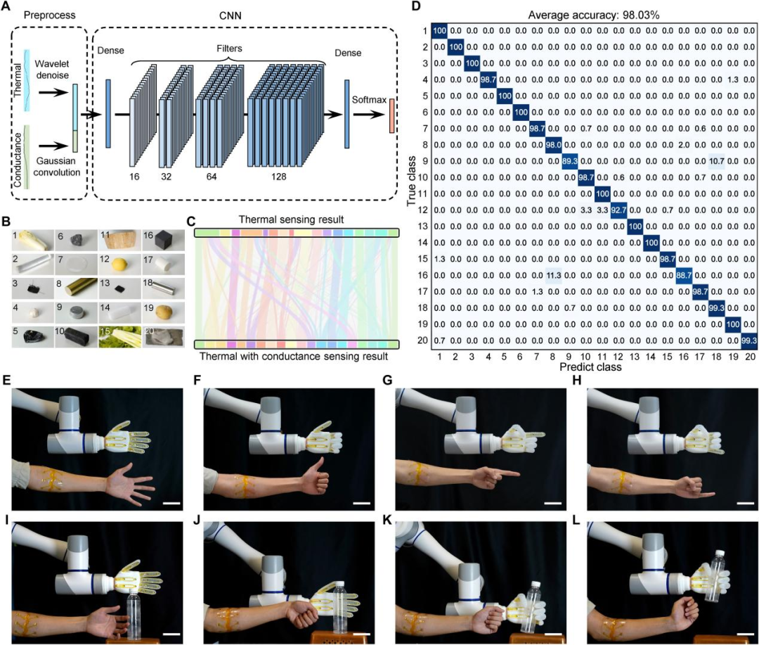 Giving Robots a Sense of Touch? Chinese Team Develops "Electronic Skin" to Open a New Era of Human-Machine Interaction