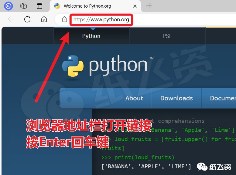 Python Download and Installation Guide