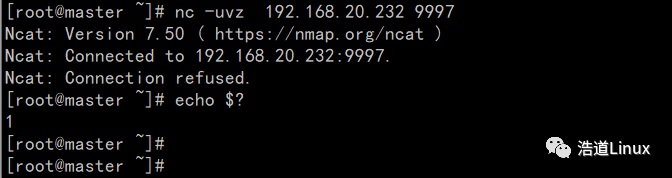 The Power of the nc Command in Linux!