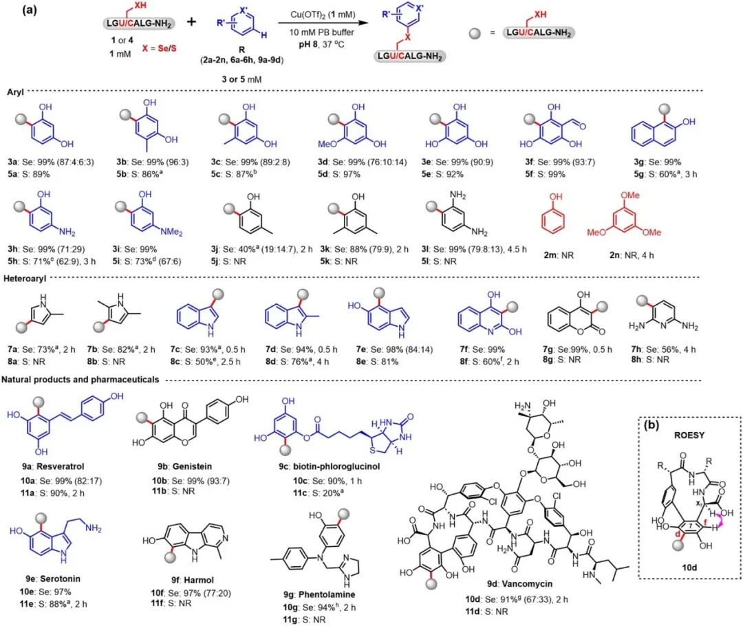 Late-Stage Aromatic C–H Bond Functionalization for Cysteine/Selenocysteine Bioconjugation