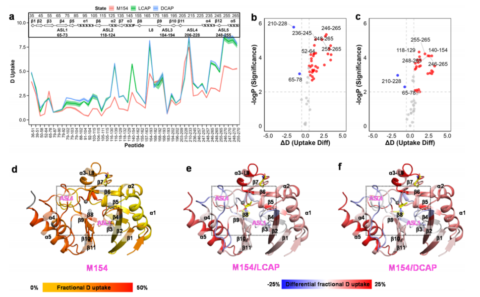 Inhibitor-Dependent Tolerance of New Delhi Metallo-β-Lactamase Driven by Single Mutation-Induced Conformational Changes