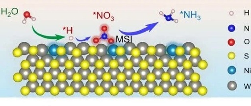 Metal-Support Interaction Breakthrough: Ni-WS₂ Nanosheet Catalyzes Nitrate Electroreduction with Ammonia Yield Exceeding 23 mgh⁻¹cm⁻²