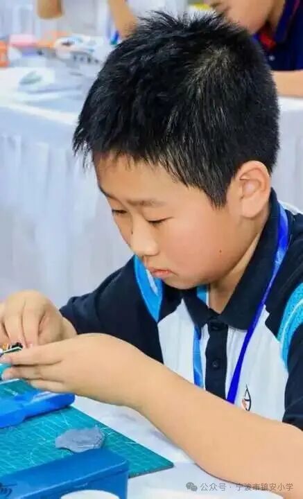 The Shining Stars on the Circuit Board