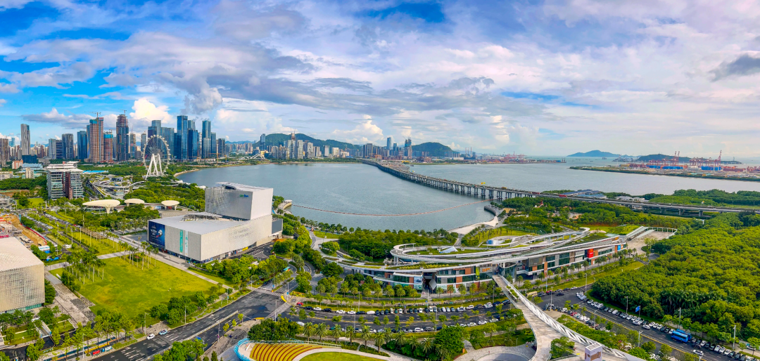 The Core Logic of Shenzhen as the World's Leading City in 3D Printing