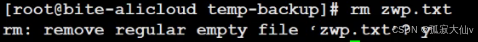 The Dark Side of Linux Permissions: Why Root Abuse Can Lead to Disaster?