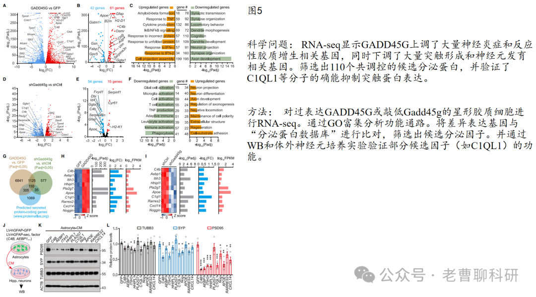 GADD45G as a Pathological Sensor: Coordinating Reactive Gliosis and Neurodegeneration