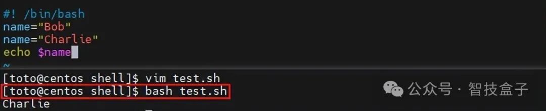 Unlocking Linux: Shell Programming Variables