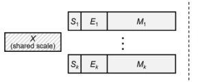 The Development of AI Data Formats in NPU Neural Processing Units (6)
