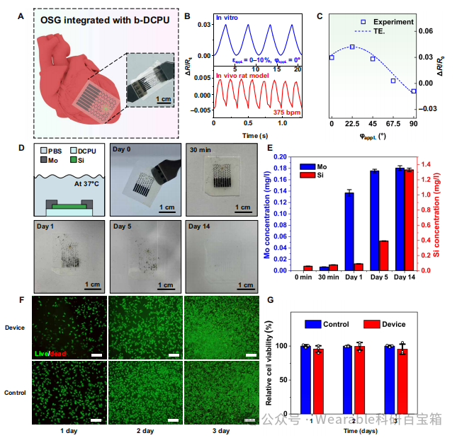 Electronic Tattoos for the Heart: Biodegradable Strain Sensors for Real-Time Detection of Myocardial Infarction