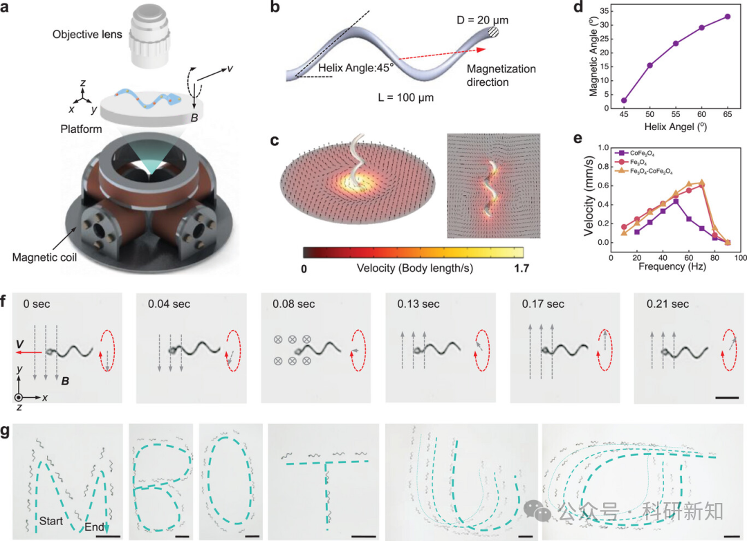 Research Update: 3D-Printed Hydrogel Microrobots with Integrated Magnetic Actuation, Magnetic Particle Imaging, and Magnetic Hyperthermia Functions