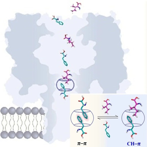 Single-Molecule Level Elucidation of CH-π Interactions